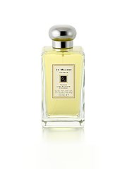 French Lime Blossom cologne